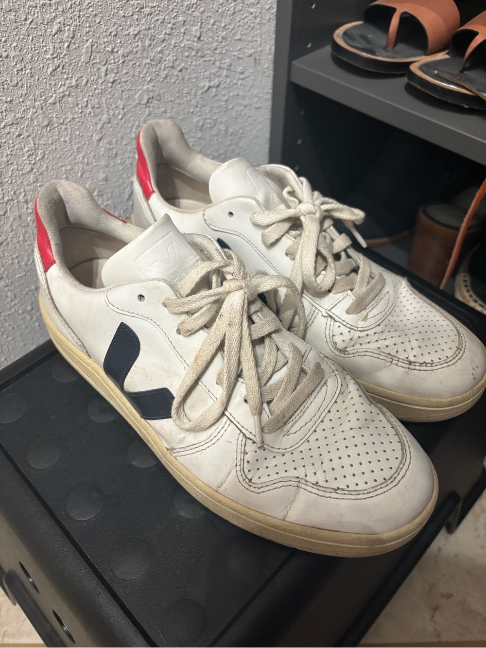Veja V10 Leather Sneakers